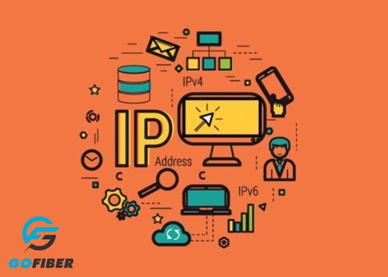 Check IP là gì? Hướng dẫn cách check IP chính xác nhất