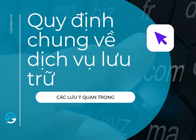 Quy định chung về dịch vụ lưu trữ