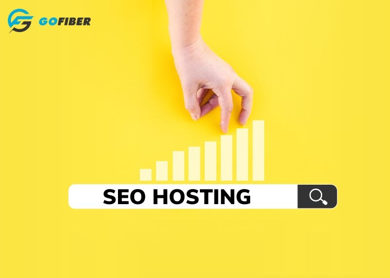 SEO Hosting là gì? Hosting và SEO Hosting có gì khác biệt?