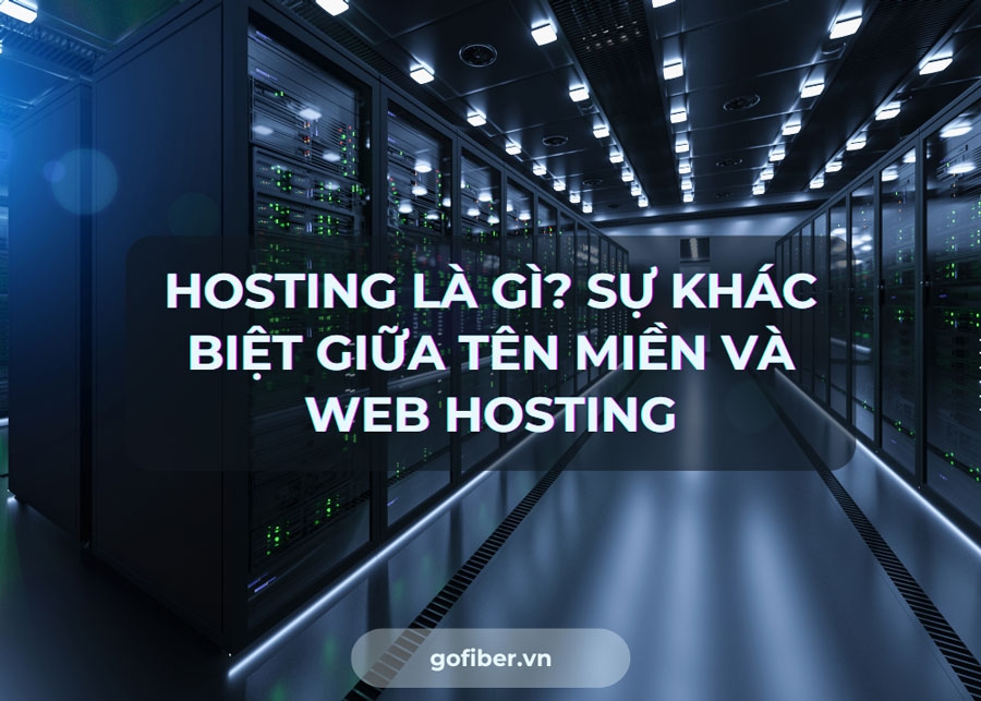 Hosting là gì? Sự khác biệt giữa tên miền và web hosting
