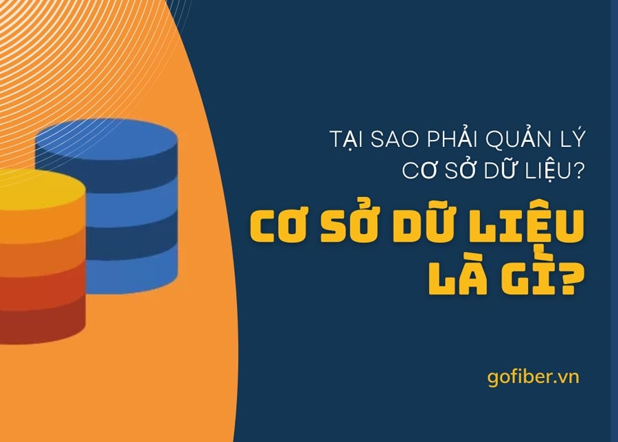 Cơ sở dữ liệu cực kỳ quan trọng với nhiều doanh nghiệp