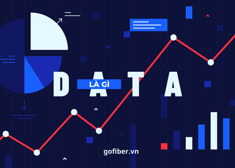 Data là gì và Tầm quan trọng của nó trong Kỷ nguyên Kỹ thuật số