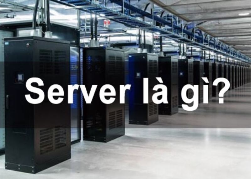 Server là gì? Các loại máy chủ phổ biến và cách chọn máy chủ phù hợp